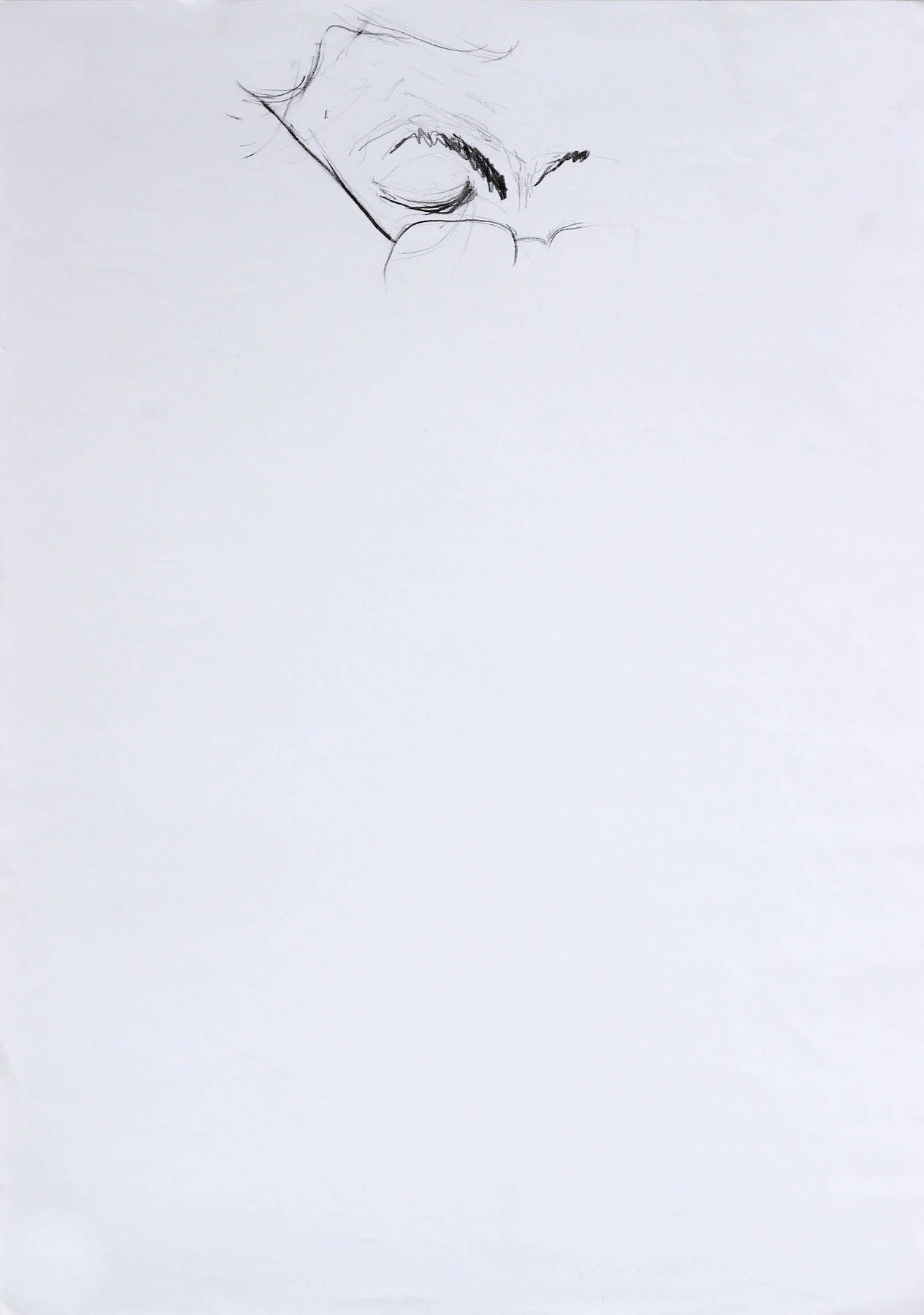 Art Reproduction: Audrey Hojda [ Brasil ]